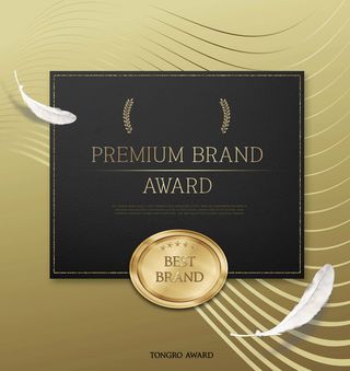 金色时尚品牌奖项