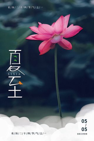简约小清新ins风夏至节日海报