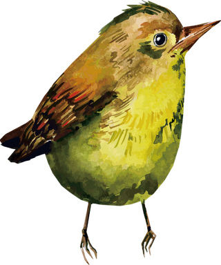 简约风手绘素描动画小鸟鸟儿免扣PNG图片素材 (11)