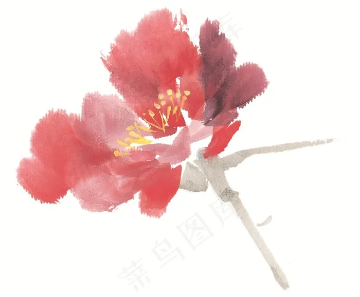 花卉系列图片素材