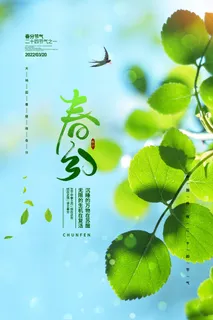 春分海报设计 春分海报设计