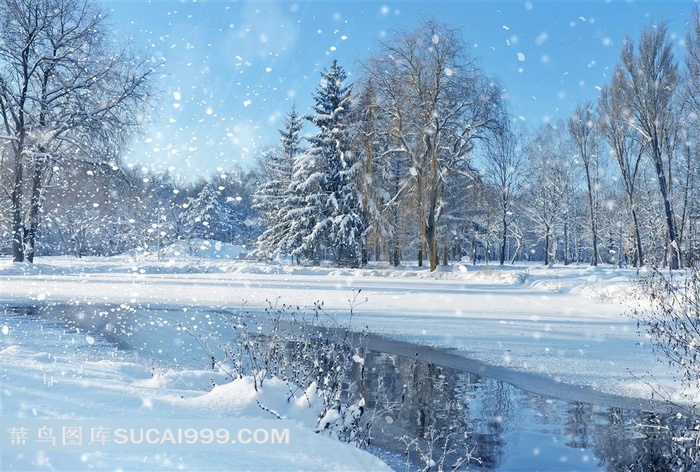 下雪自然风景