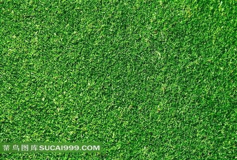绿色草地草坪高清图片