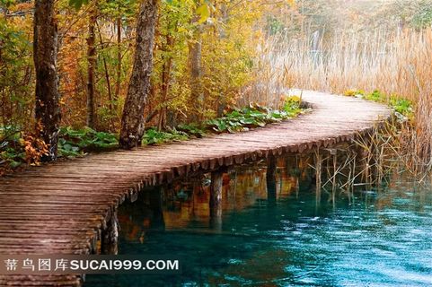 河边木桥风景高清图片