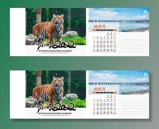 2022年虎年公司企业日历挂历台历模板