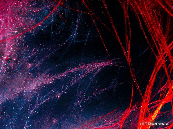 深蓝色红色毛发羽毛创意合成炫彩抽象背景