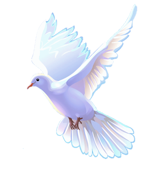 卡通画鸽子