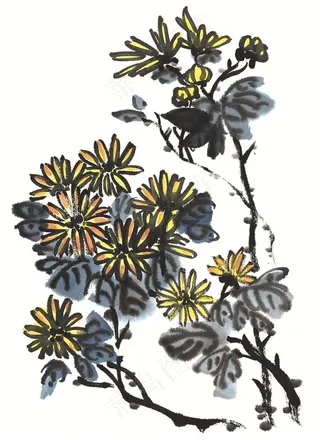 花卉高清美图素材