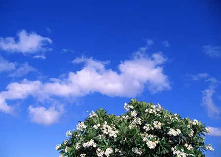 清澈天空背景云层云彩 清澈天空背景云层云彩