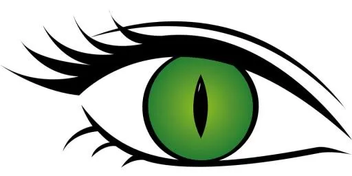 睫毛 PNG免抠(960x480)