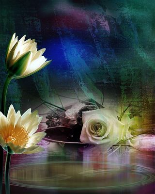 夜里花开l水彩油画背景