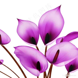 唯美紫色花卉油画