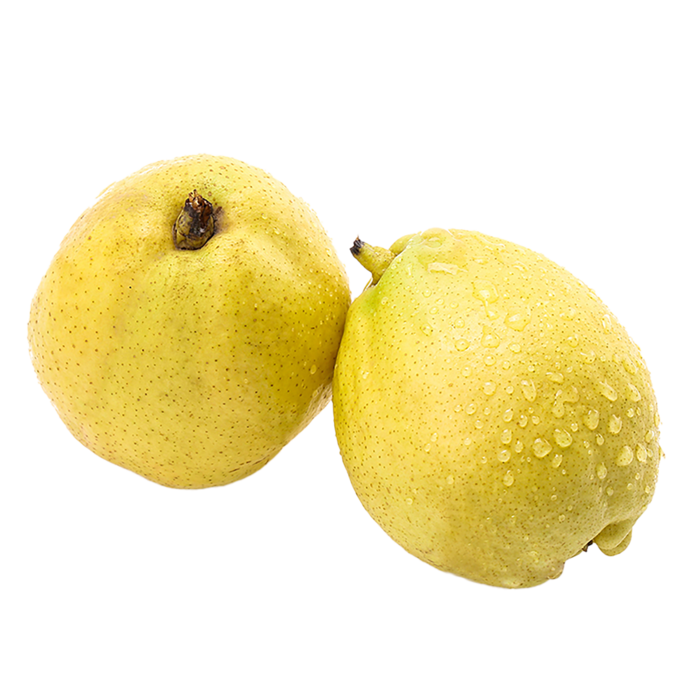 28香酥梨 (2)水果超市商品白底图免抠实物摄影png格式图片透明底
