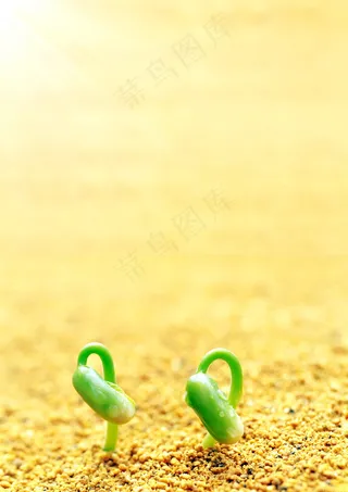 非主流萌芽图片