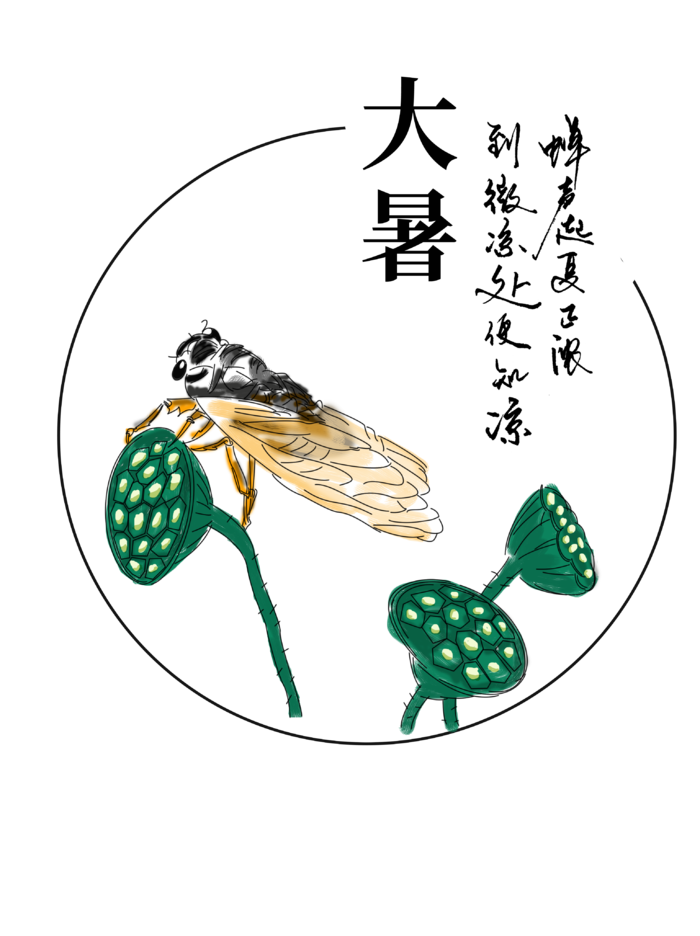 二十四节气大暑小暑书法莲蓬知了蝉免扣元素