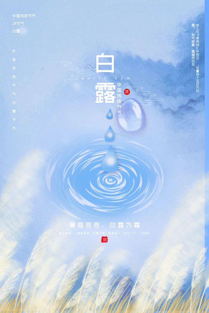 白露节气海报psd模版下载