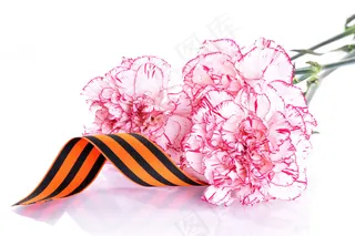 康乃馨花束图片素材下载