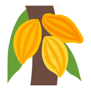 可可果实可可粉免抠 (12)