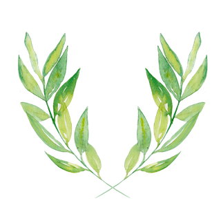 唯美森系手绘水彩花朵 免抠