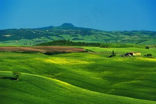 绿色大草原高清摄影图片素材