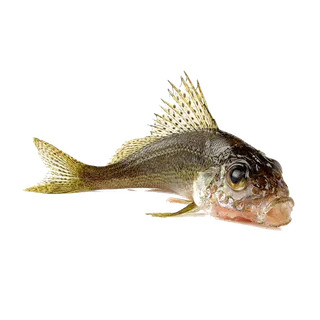 拉夫海鲜超市商品红酒白底图免抠实物摄影png格式图片透明底