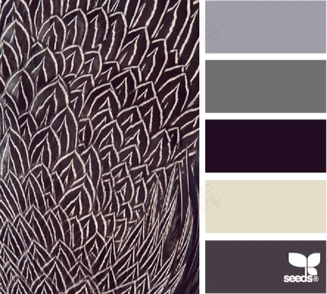 家禽鸟类配色色卡色彩搭配 家禽鸟类配色色卡色彩搭配