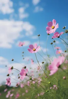 春夏蓝天白云花草绚丽摄影海报素材背景 春夏蓝天白云花草绚丽摄影海报素材背景