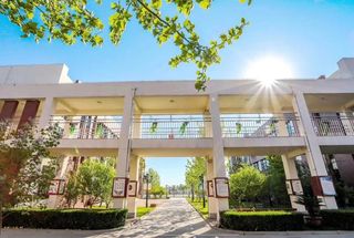 美丽的校园清晨图