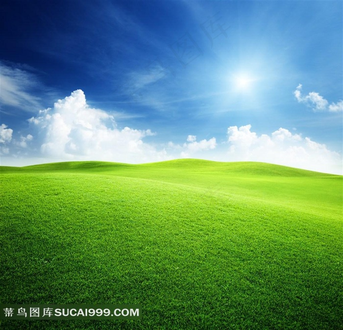 一望无际的草原