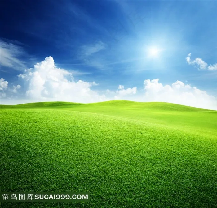 一望无际的草原