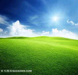 一望无际的草原