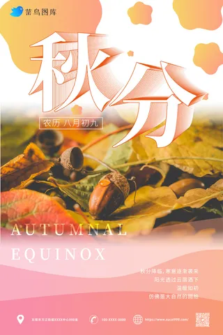 落叶 简约风 秋分海报