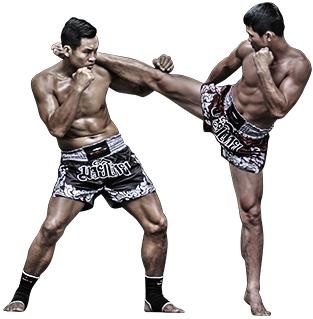 综合格斗 PNG, MMA PNG免抠(313x319)