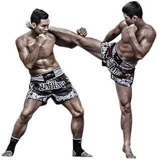 综合格斗 PNG, MMA PNG免抠(313x319)