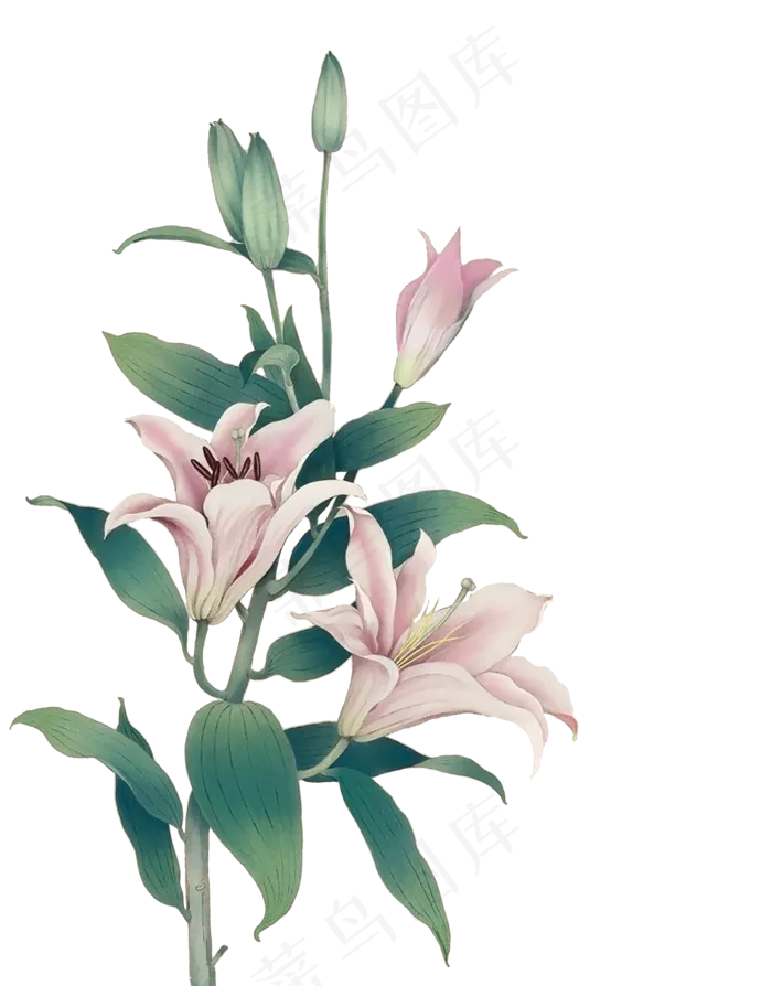 免扣素材中国风|png