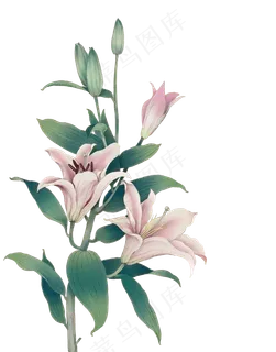 免扣素材中国风|png