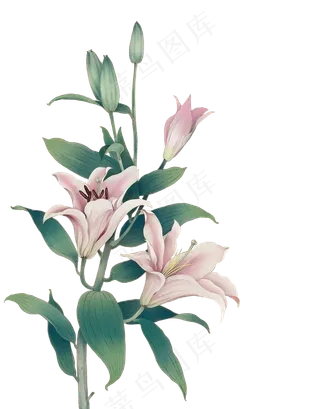 免扣素材中国风|png