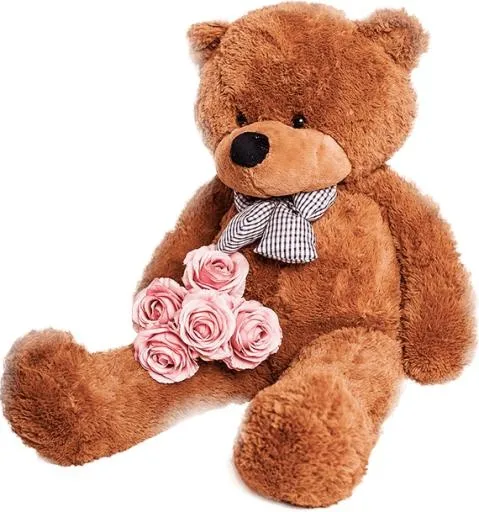 泰迪熊 PNG免抠(570x609)