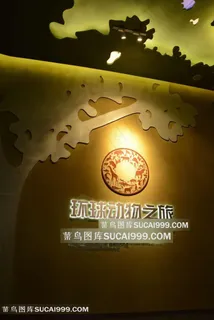 天津自然博物馆内景-墙面背景照片