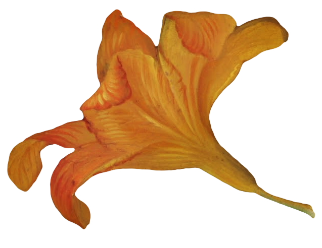 复古油画质感宫廷花卉植物花朵鲜花拼贴图案PNG免抠图片设计素材