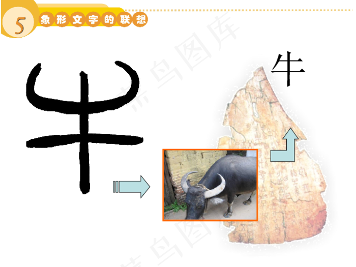象形字牛扭头图片动物牛