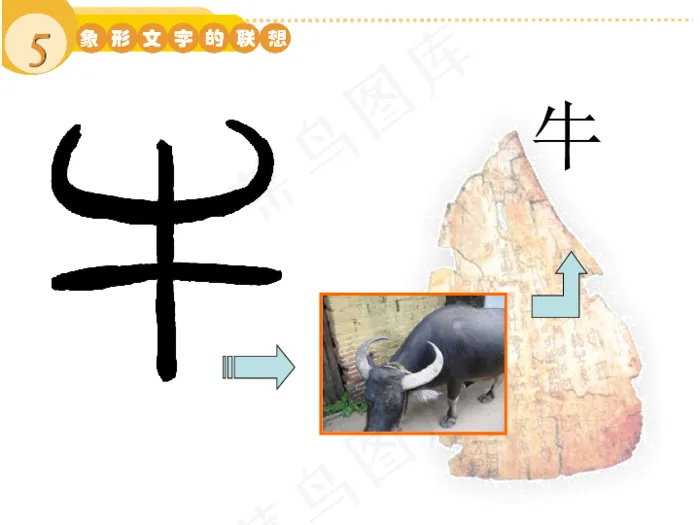 象形字牛扭头图片动物牛