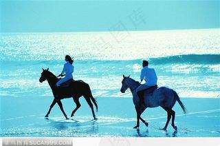 在海边骑着马浪漫的一对恋人