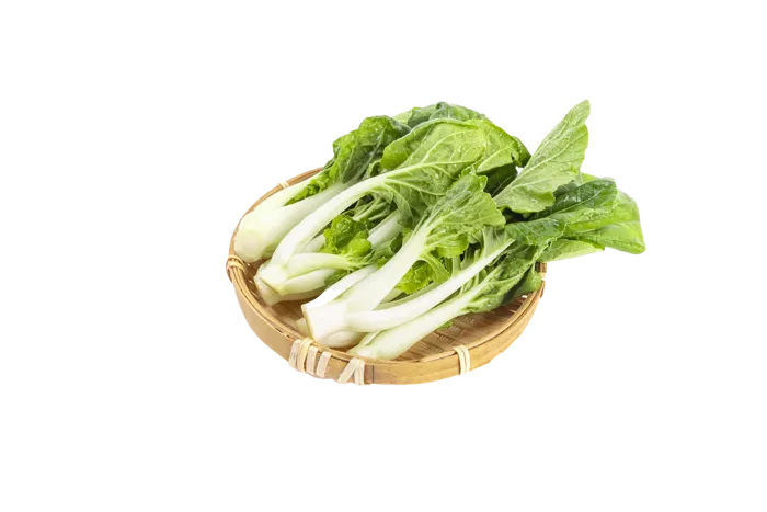 洋白菜 (3)超市商品白底图免抠实物摄影png格式图片透明底