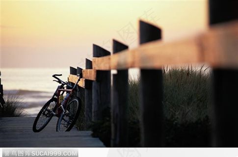 海湾边的越野单车