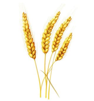 小麦麦穗金黄免抠