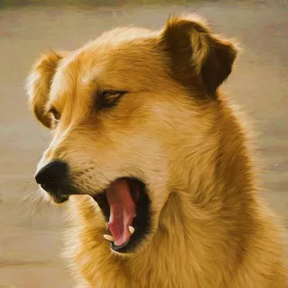 小黄狗高清绘画图片 小黄狗高清绘画图片