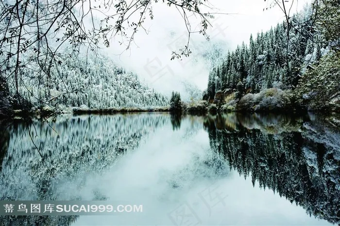 冬季湖边雪景高清图片