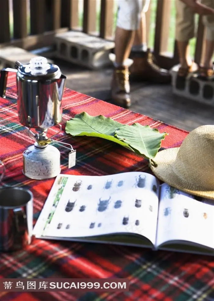 红色格子餐布上的杂志和帽子
