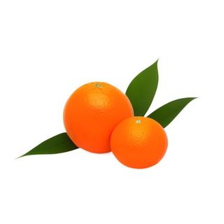 橘子橙子水果免抠